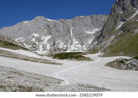Similar – Image, Stock Photo spring last snow Spring