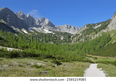 Similar – Image, Stock Photo spring last snow Spring