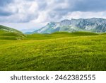 Wonderful springtime landscape in mountains. Grassy field and rolling hills. Rural scenery