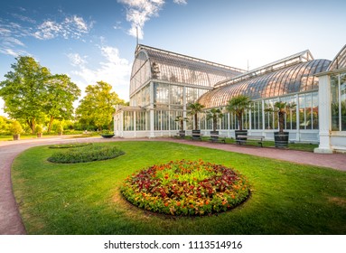 A Wonderful Summer Evening In A Public Park In Gothenburg.The Low Sun Shines Nicely Through The Surroundings. Greenery Has Set Speed And Flowering Is In Full Swing