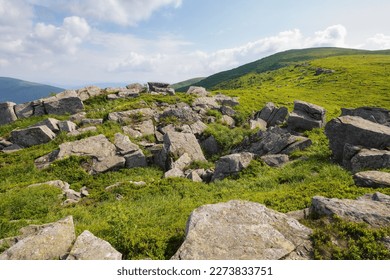 wonderful summer landscape in mountains. grassy meadows and rolling hills. boulders and stones on the hillside. picturesque scene in morning light. ukrainian carpathians countryside scenery
