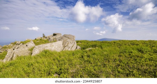 wonderful summer landscape in mountains. grassy meadows and rolling hills. boulders and stones on the hillside. picturesque scene in morning light. ukrainian carpathians countryside scenery
