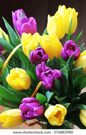 Wonderful tulip bouquet bright closeup macro photo