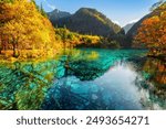 Wonderful view of the Five Flower Lake (Multicolored Lake) among fall woods in Jiuzhaigou nature reserve (Jiuzhai Valley National Park), China. Submerged tree trunks are visible in azure water.