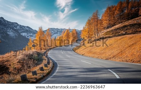 Wonderful view of road in beautiful orange forest at sunset in autumn. Colorful landscape with roadway, pine trees in fog in Grossglockner High Alpine road in fall. Top view of winding road.