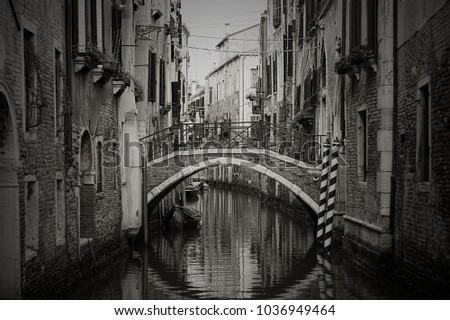 A wonderful view of Venice