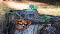 Wonderful Vintage  Baltic Yellow Handmade Amber Brooch In The Form Of Flower And Orange Necklace Lie On The Old Tree Stump. Amber Is Luck Protection Strength Powers Beauty Magic And Healing. 