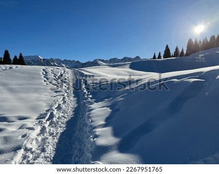 Similar – Panoramic scenery above Grindelwald