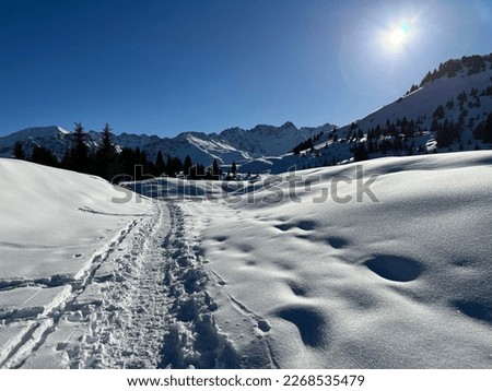 Similar – Panoramic scenery above Grindelwald