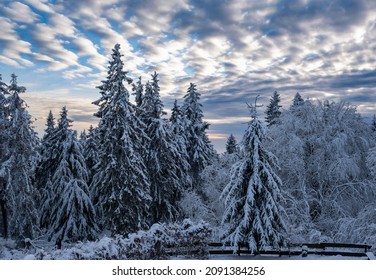 Wonderful Winter Landscape At Dusk On The Großer Feldberg In Taunus - Germany 