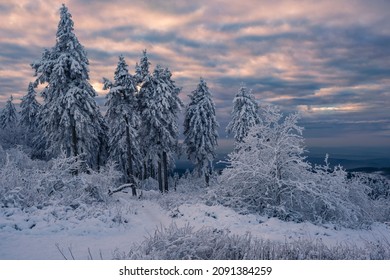 Wonderful Winter Landscape At Dusk On The Großer Feldberg In Taunus - Germany 