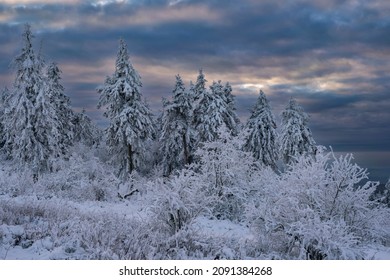 Wonderful Winter Landscape At Dusk On The Großer Feldberg In Taunus - Germany 