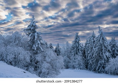 Wonderful Winter Landscape At Dusk On The Großer Feldberg In Taunus - Germany 