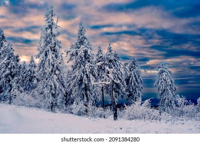 Wonderful Winter Landscape At Dusk On The Großer Feldberg In Taunus - Germany 