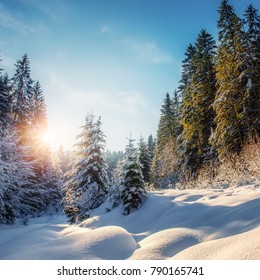 Wonderful Winter Landscape with Perfect Sky at Sunny Day