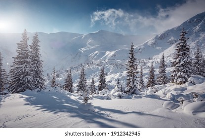 Wonderful wintery Scenery in sunny day. Winter landscape with snow capped mountain under sunlight. Popular hiking and travel place. Winter wonderland. stunning nature background. Carpathian mountains. - Powered by Shutterstock