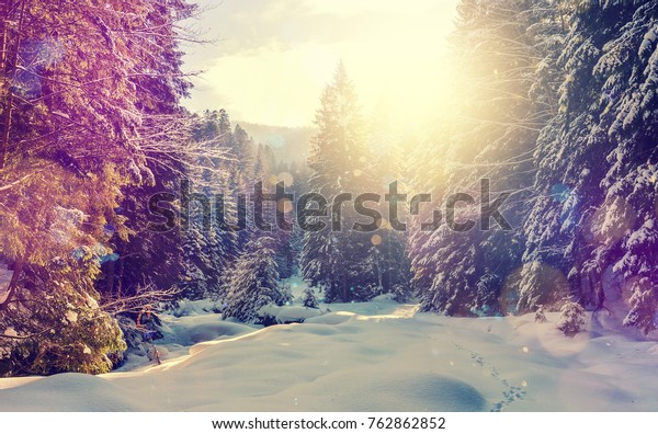 Meraviglioso Paesaggio Invernale Foresta Di Montagna Foto Stock Modifica Ora