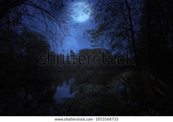 A\
wondrous forest lake in the moonlight at\
midnight.