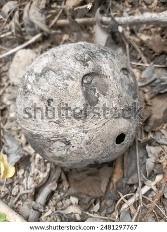 woo it just a coconut shell
