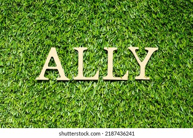 Wood Alphabet Letter In Word Ally On Green Grass Background