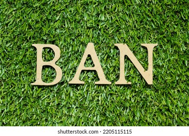 Wood alphabet letter in word ban on green grass background - Shutterstock ID 2205115115
