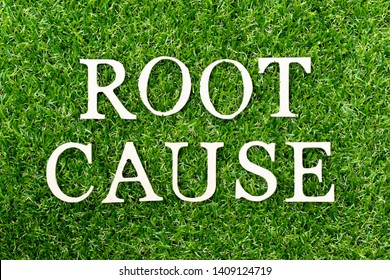 Wood alphabet letter in word root cause on green grass background
