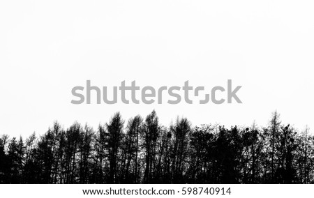 Similar – Image, Stock Photo timber line Nature Plant