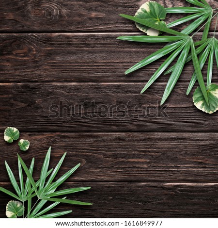 wood background leaves nature, wood texture, wood frame, leaf background, tree frame, tree background, nature texture, nature frame, healthy image, product background, logo , green