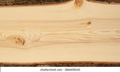 Wood background - Spruce fir wooden table board template, with tree edge and bark and space for text