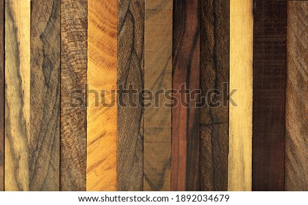 Wood background. Various kinds of exotic woods in vertical strips. 