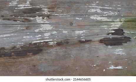 Wood bark texture use as natural background

Textura kůry dřeva použití jako přírodní pozadí