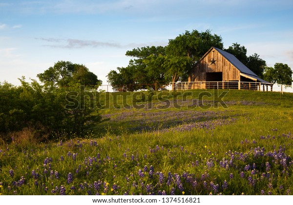 Wood Barn\
on the Bluebonnet Trail Near Ennis ,\
Texas