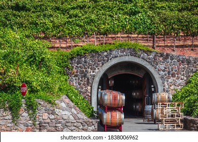 Wood Barrels At The Local Winery Near Sonoma, USA.