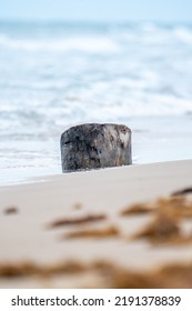 A Wood Beam On The Ocean Shore