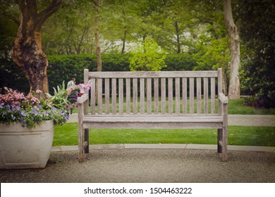 A Wood Bench In Green Park For Background