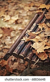 Wood bench outdoors on a winter autumn day. Warm light makes all the fallen dead leaves shine with a reddish and yellowish color.