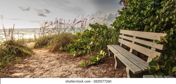 Wiggins Images Stock Photos Vectors Shutterstock