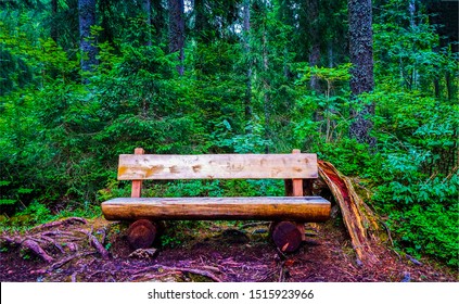 Wood Bench Seat In Rural Views