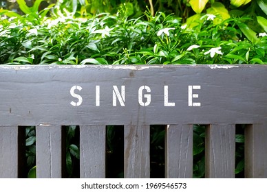 Wood Bench With Text Inscription SINGLE , Concept Of Individual Person, Being Alone  , Unmarried Or Not Involved In A Stable Sexual Relationship.