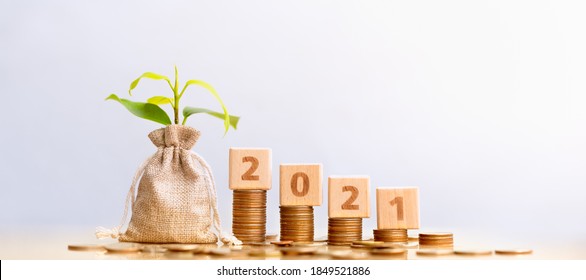 Wood block 2021 and Coins in sack with small plant tree. Pension fund, 401K, Passive income. Investment and retirement. Business investment growth concept. Risk management. Budget 2021. - Shutterstock ID 1849521886