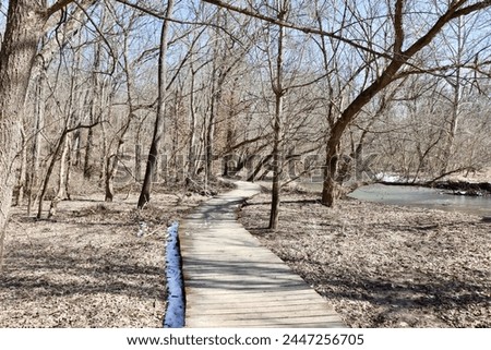 The wood boardwalk on the trail on a sunny day.