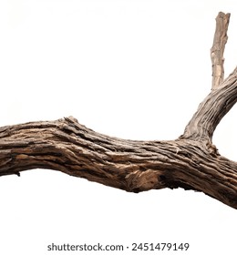 wood branch trunk isolated on white background - Powered by Shutterstock