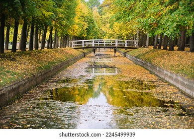 wood bridge Beautiful autumn scene in park river with fallen leaves