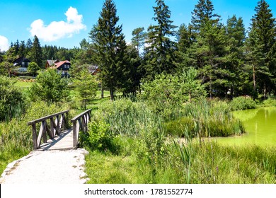 Wood bridge in Bloke lake - Volcje jezero, Nova Vas, Slovenia. - Shutterstock ID 1781552774