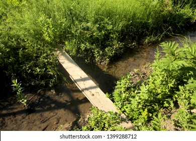 Wood Bridge Ditch In The Garden 
