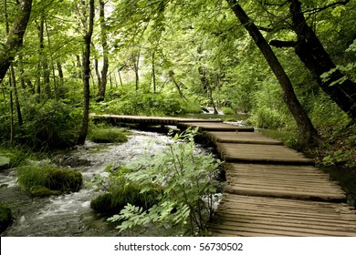 wood bridge in the forest - Powered by Shutterstock