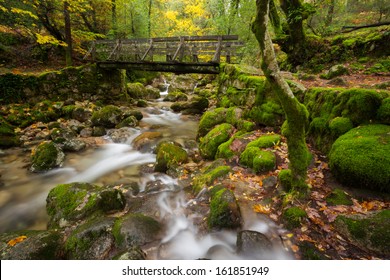 Wood Bridge in Geres National Park, Portugal