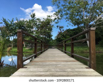 Wood Bridge On The Forest Vanishing Point Perspective