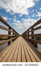 Wood Bridge On The Forest Vanishing Point Perspective