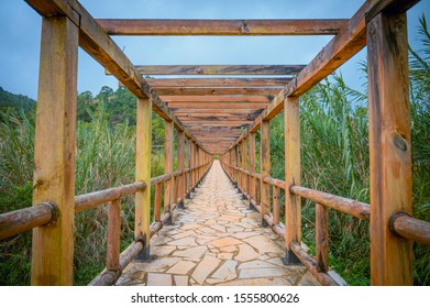 Wood Bridge On The Forest Vanishing Point Perspective